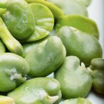 Broad Beans